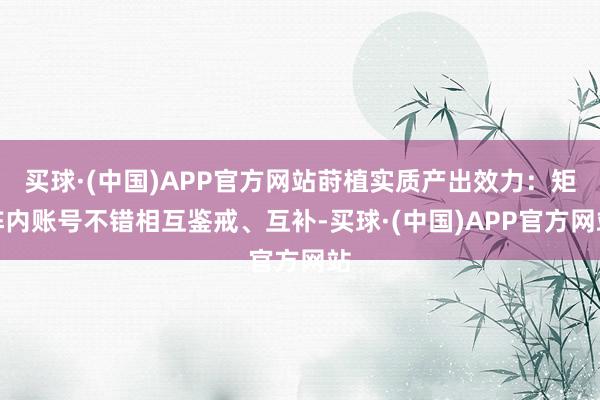买球·(中国)APP官方网站莳植实质产出效力：矩阵内账号不错相互鉴戒、互补-买球·(中国)APP官方网站