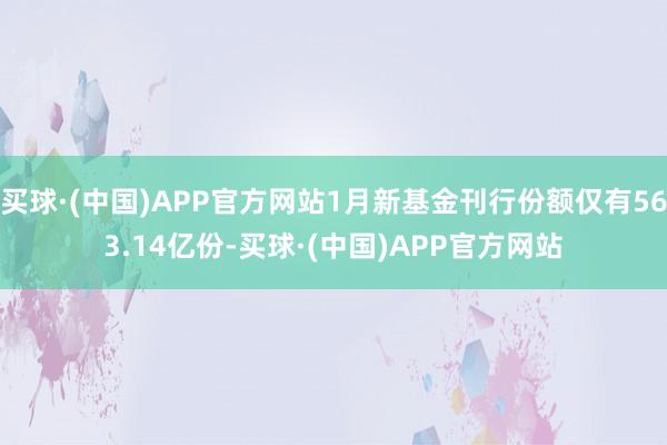 买球·(中国)APP官方网站1月新基金刊行份额仅有563.14亿份-买球·(中国)APP官方网站